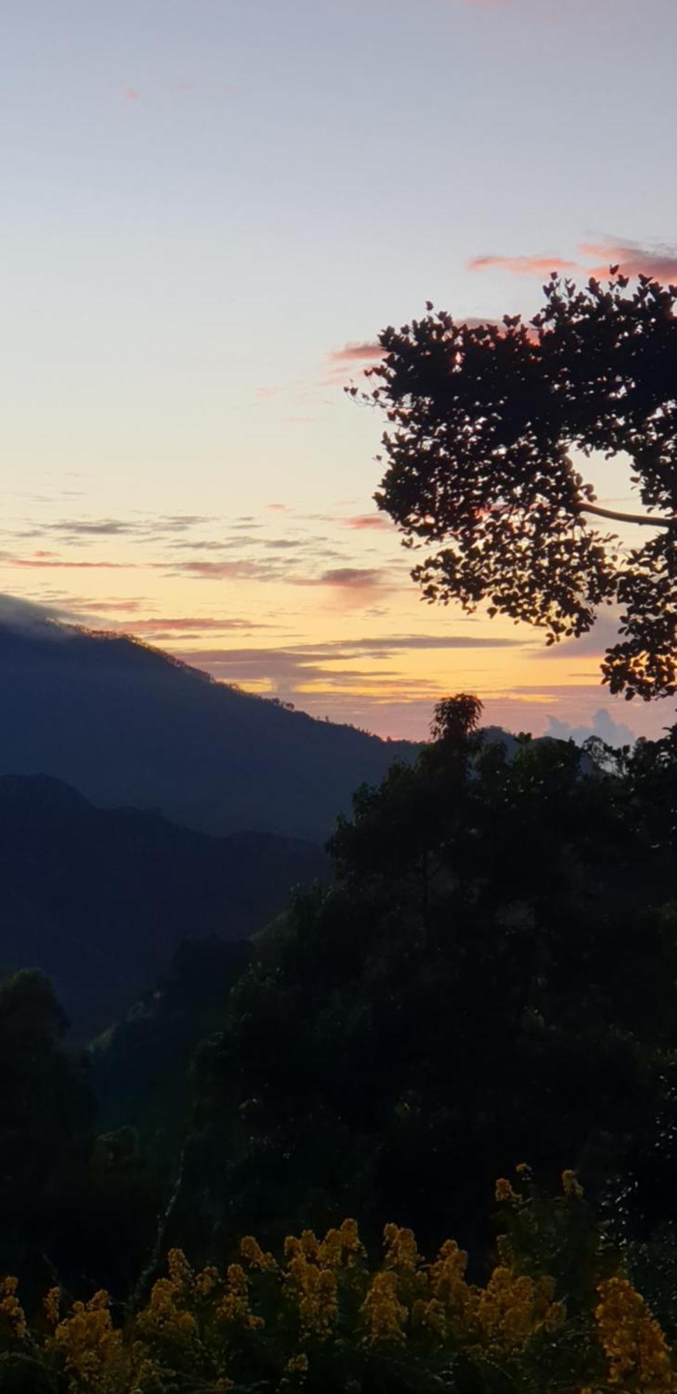 Himansa Homestay เอลลา ภายนอก รูปภาพ