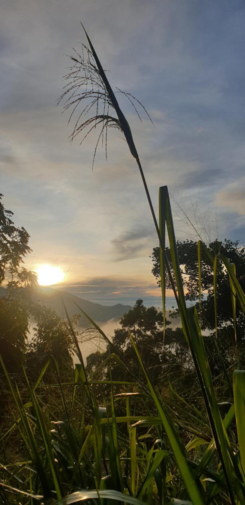 Himansa Homestay เอลลา ภายนอก รูปภาพ