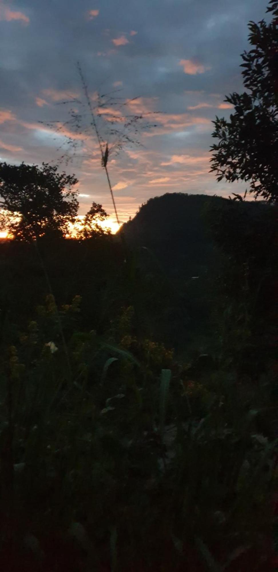 Himansa Homestay เอลลา ภายนอก รูปภาพ