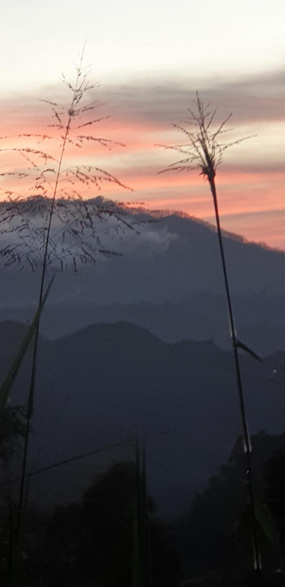 Himansa Homestay เอลลา ภายนอก รูปภาพ